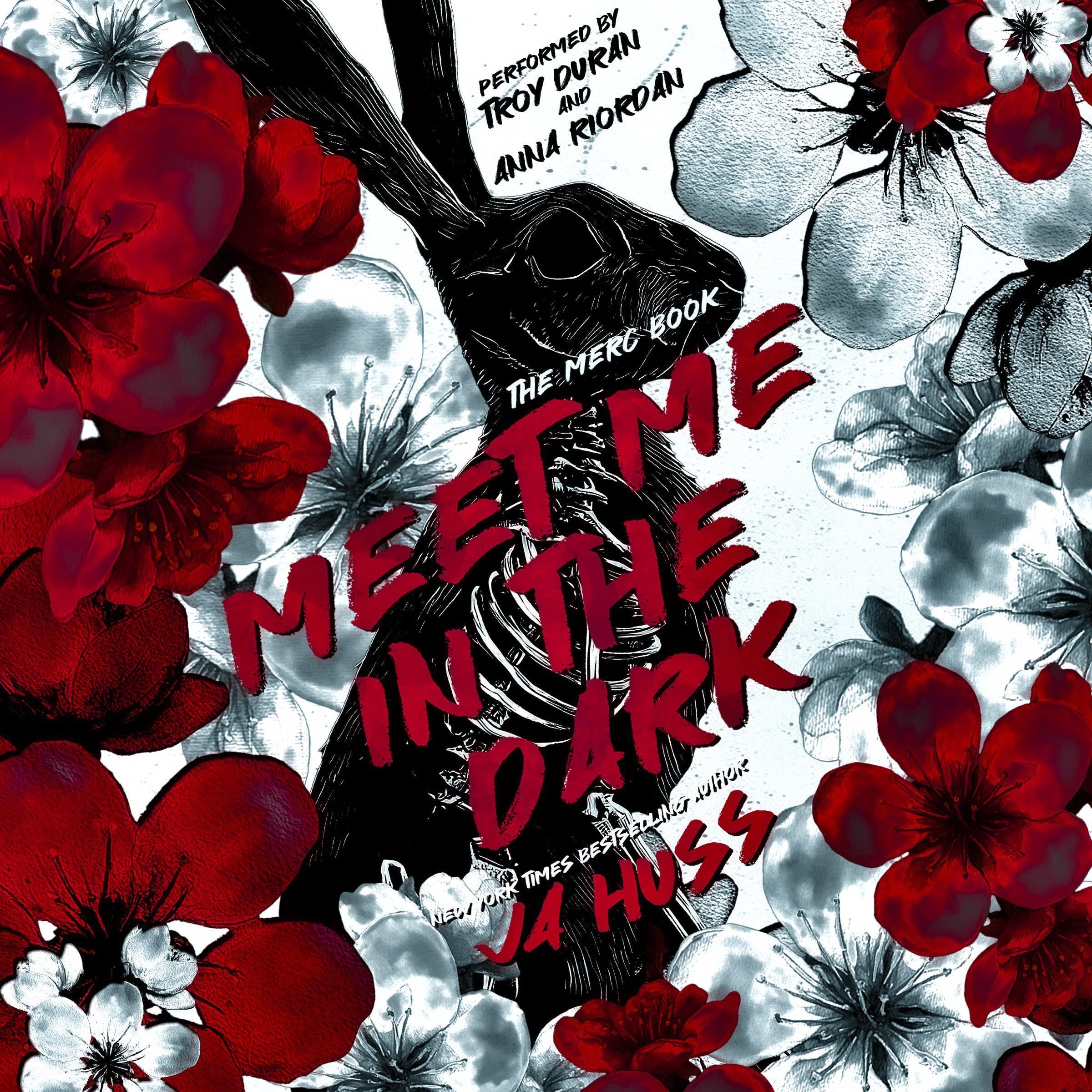 Cover art for Meet Me in the Dark