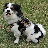 Vista 2 de Arnés táctico para perro, reflectante, chaleco antitirones, chaleco de protección contra pinchos, talla S