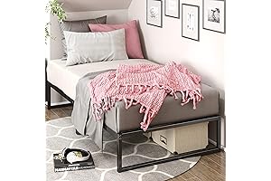 ZINUS Lorelai Metal Platform Bed Frame for Twin Beds