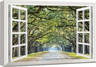wall26 - Modern White Window Looking Out Into a Road with a Tunel of Trees - Canvas Art Home Art - 24x36 inches