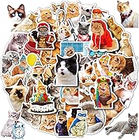 Vista 24 de 100 unidades de calcomanías de ciencias naturales, calcomanías de vinilo para experimentos de química, física y biología, calcomanías de laboratorio