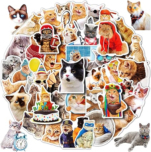 Calcomanías de gato 100 calcomanías impermeables para gatos calcomanías de vinilo para botella de agua laptop teléfono patineta para niños