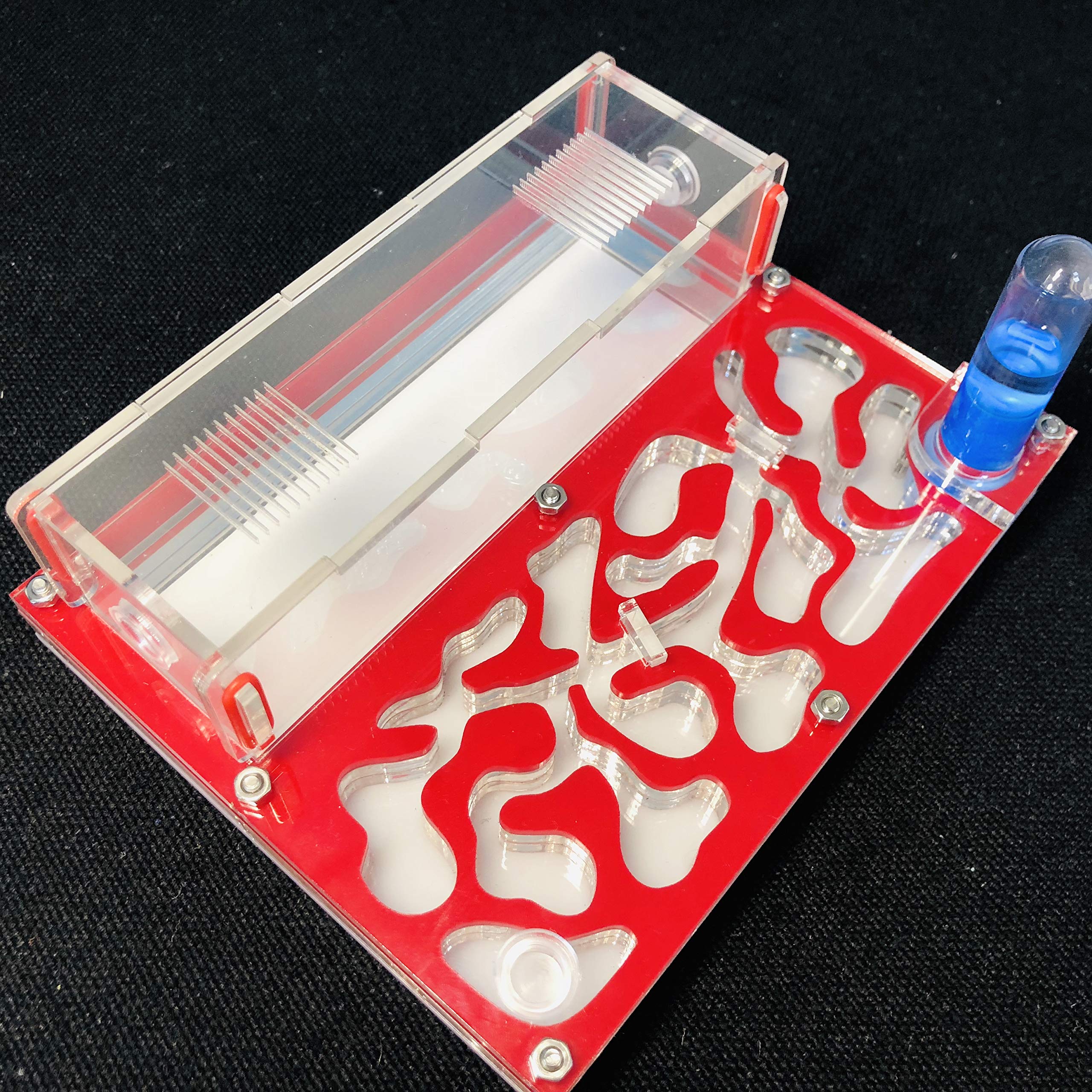 Formicario educativo per Formiche Farm per Prova Formiche Live Umidità Grande Spazio Nido di Formiche in Acrilico, Formiche Insetti (Rosso) - 3