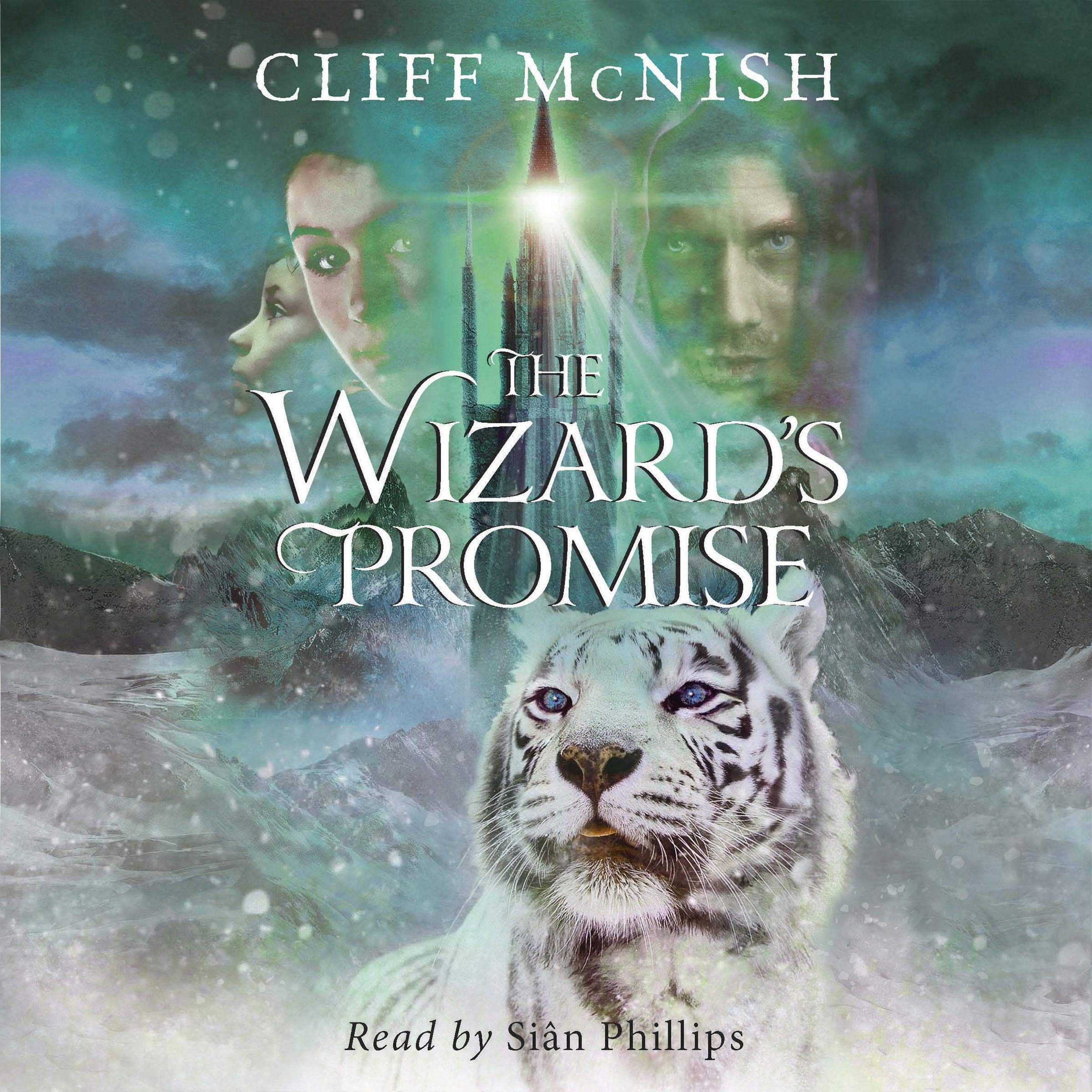 Cover art for The Wizard's Promise