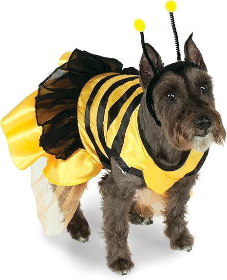 small dog bee costume