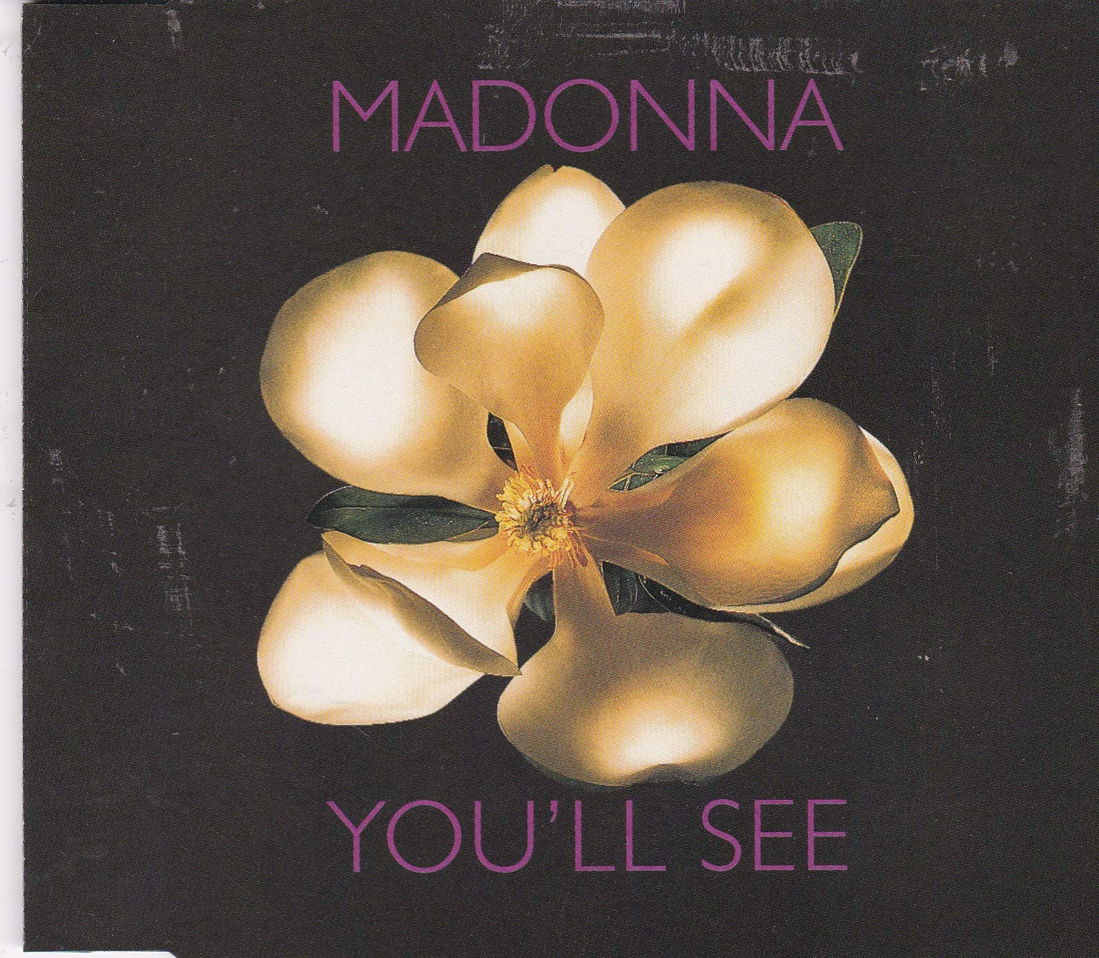 You'll See by Madonna: Amazon.co.uk: CDs & Vinyl