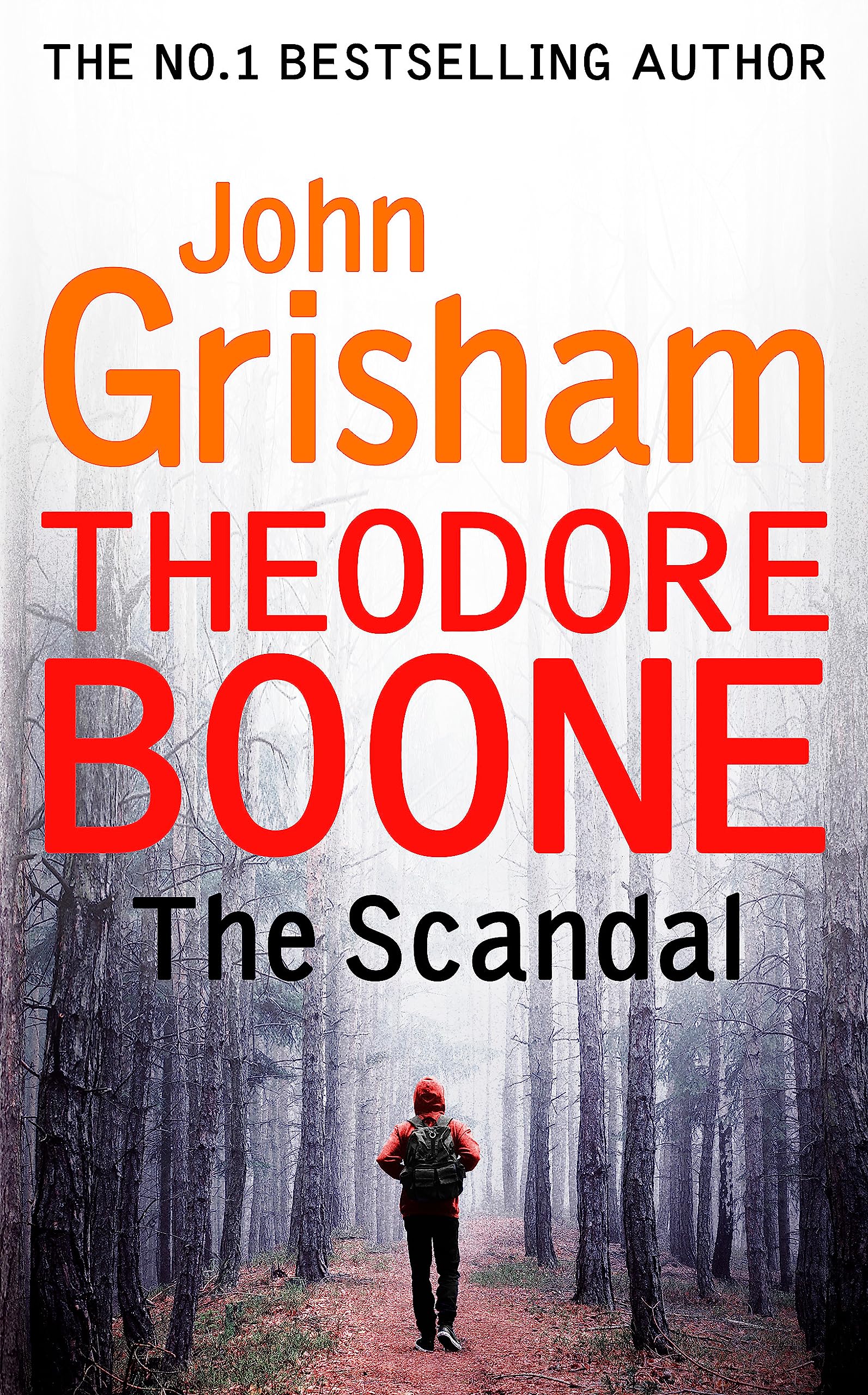Theodore Boone: The Scandal: Theodore Boone 6. Grisham 9781444767735 New**