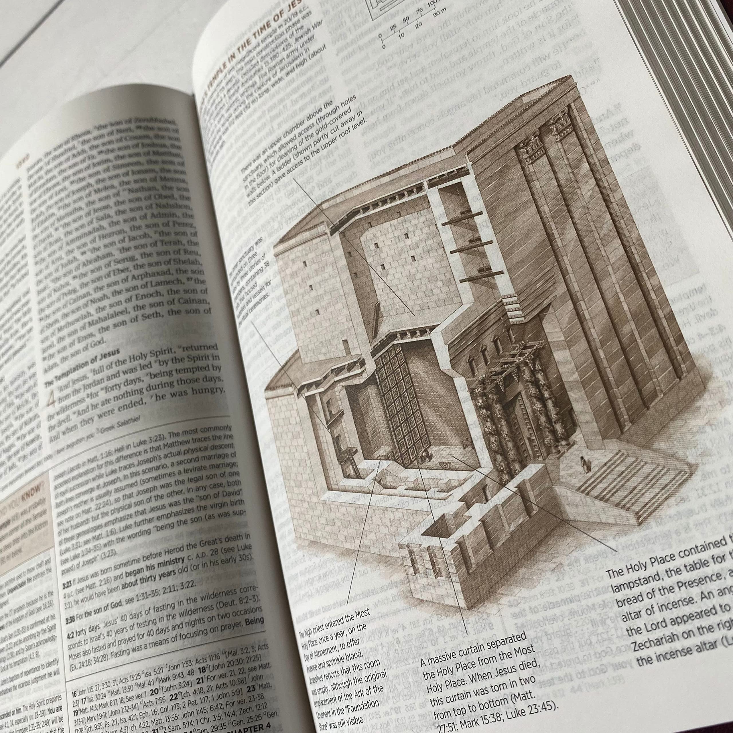 Personalized ESV Student Study Bible, Option to Customize with Hand Lettered Name Engraved on Cover, Gray Trutone Leather, Personalized Gift, - Image 7