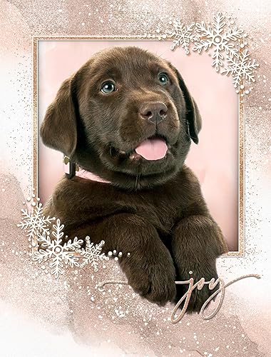 Miniatura 9 de Team Husar Golden Retriever - 15 tarjetas navideñas para perros, 16 sobres blancos (corona de oso - Navidad)