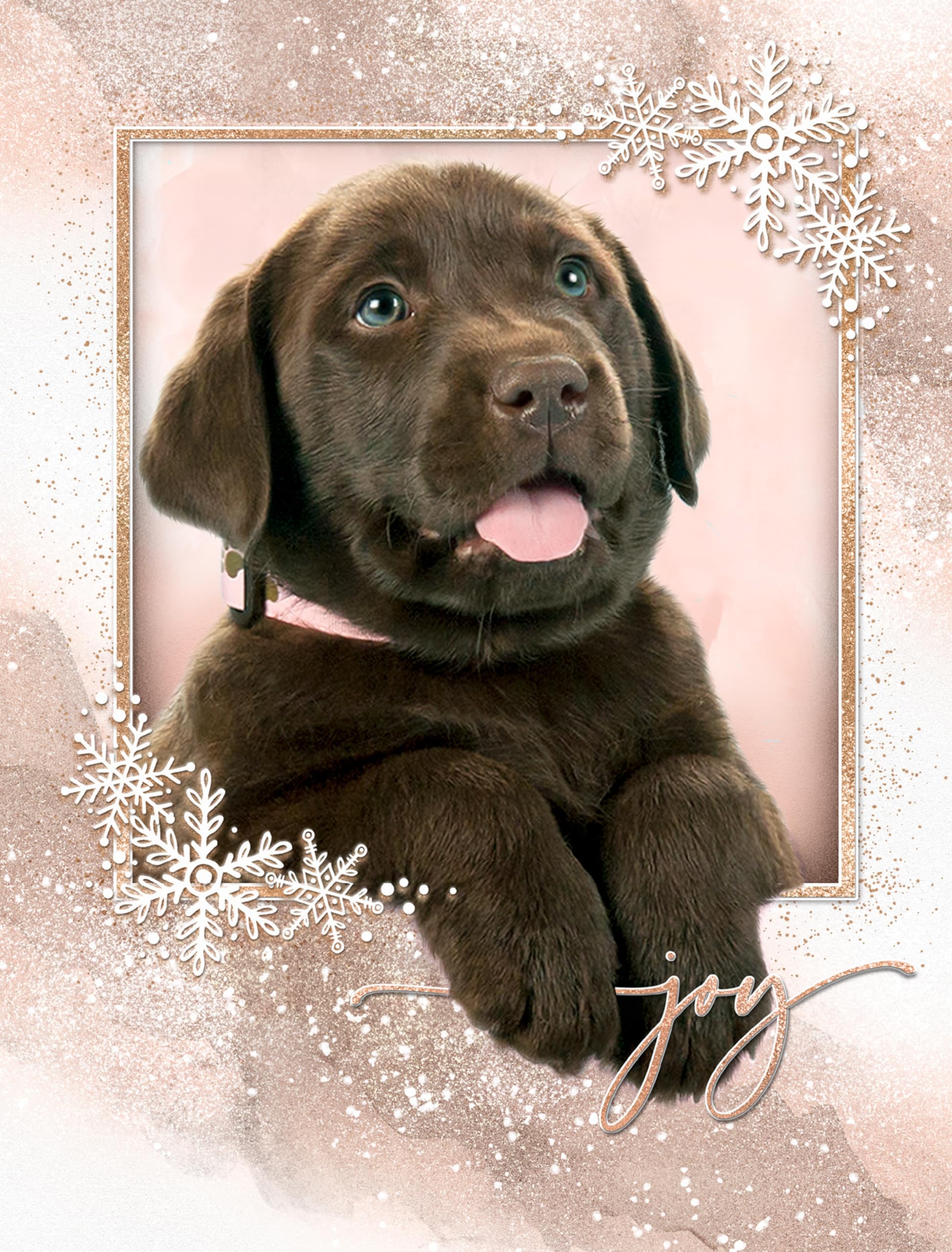 Team Husar Chocolate Joy Labrador Retriever Puppy Dog Christmas Premium Holiday 15 Cards, 16 White Envelopes