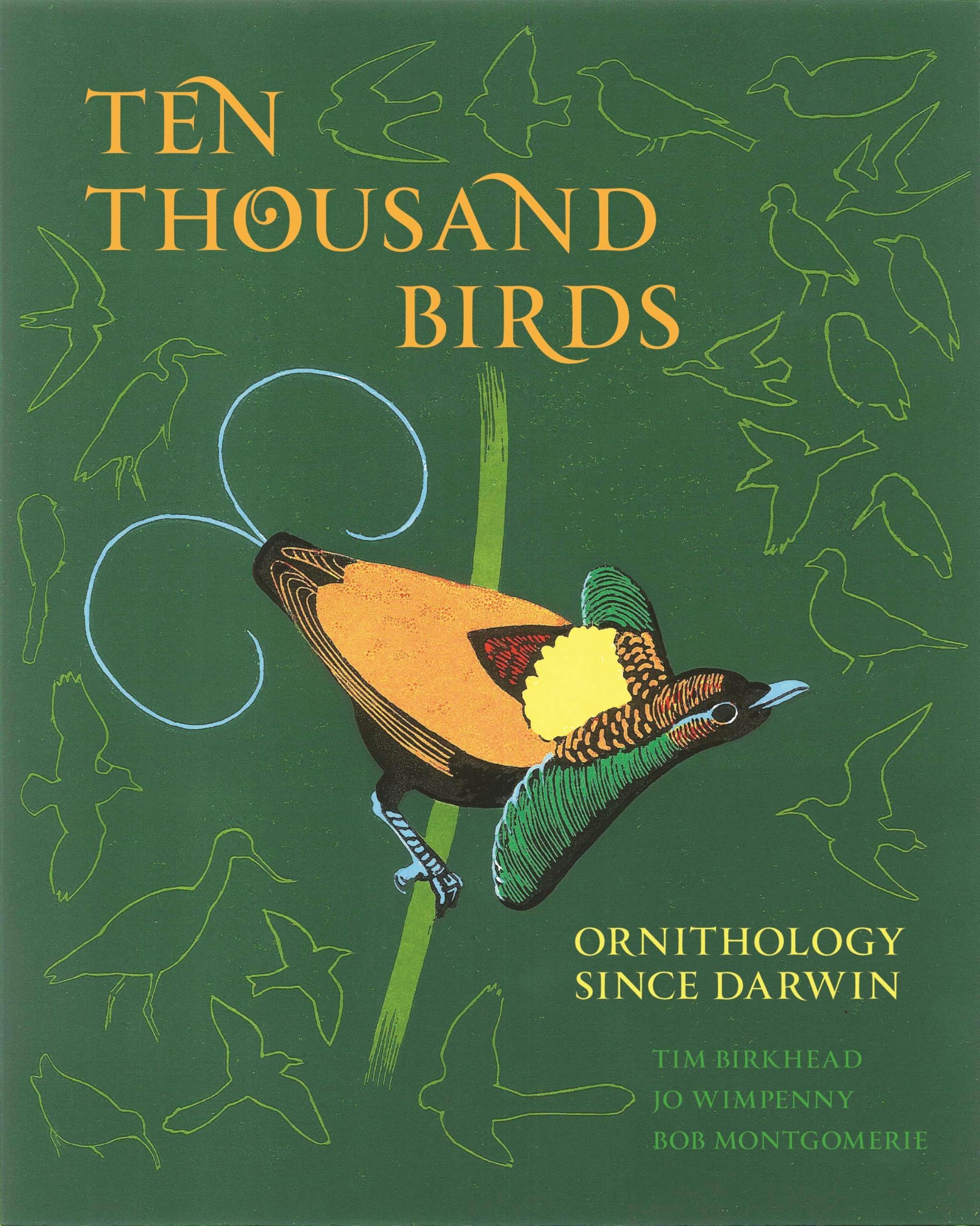 Ten Thousand Birds by Bob Montgomerie HARDBACK 9780691151977