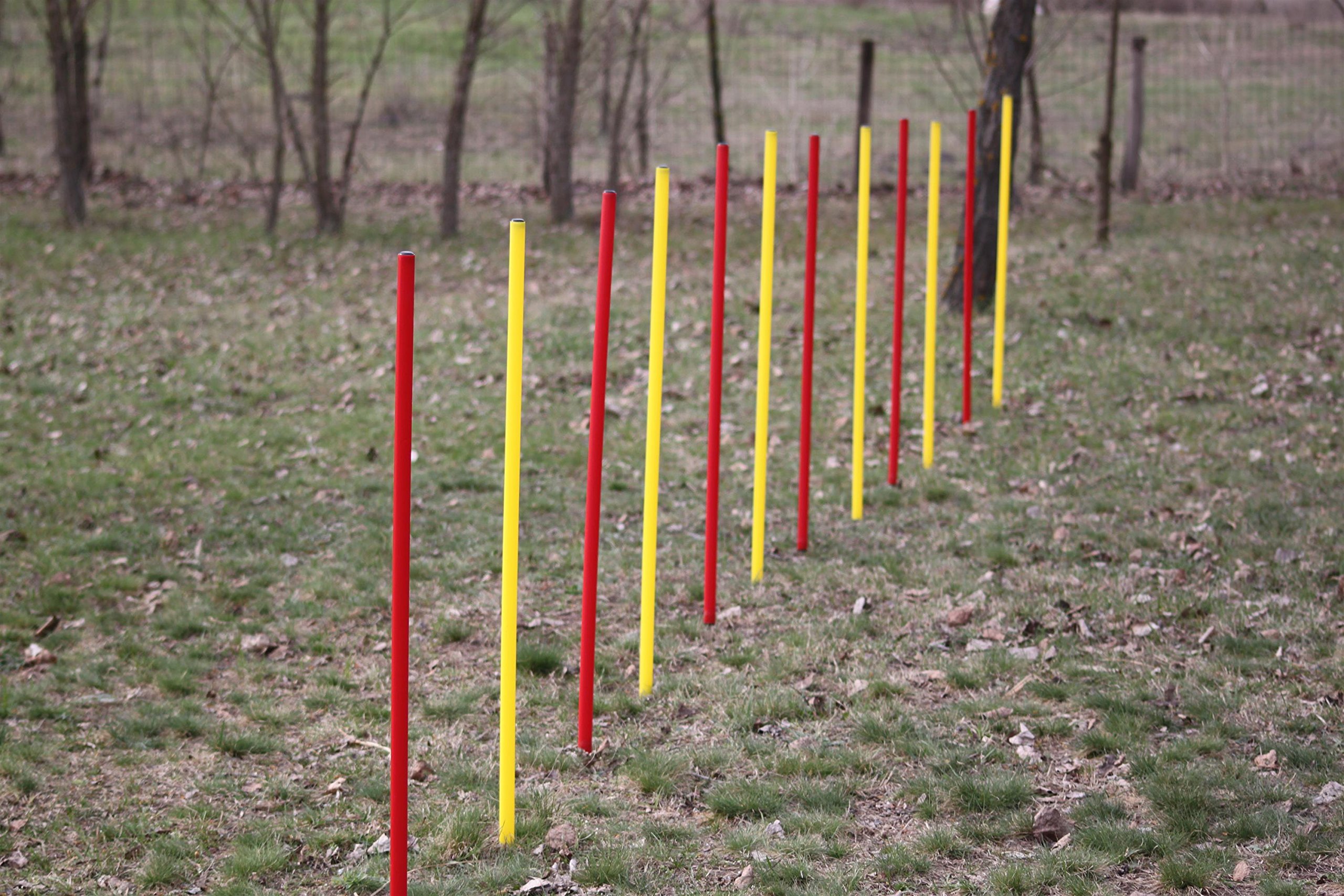 Agility-Set für Hunde - Rot/Gelb - Übungs-Hürden/Slalom-Stangen-Set - Ohne Werkzeug auf/abzubauen - Kräftige Erdnägel für sicheren Stand