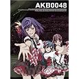 AKB0048