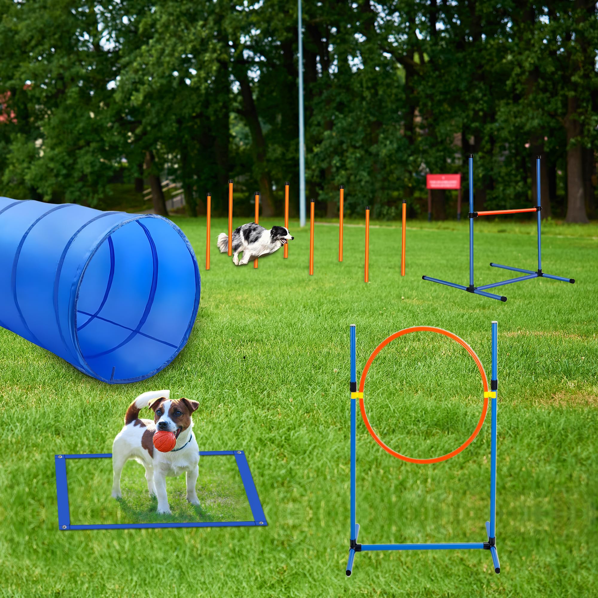 Dog Exercise Equipment Rengue Dog Agility Training Kit 5-Piece