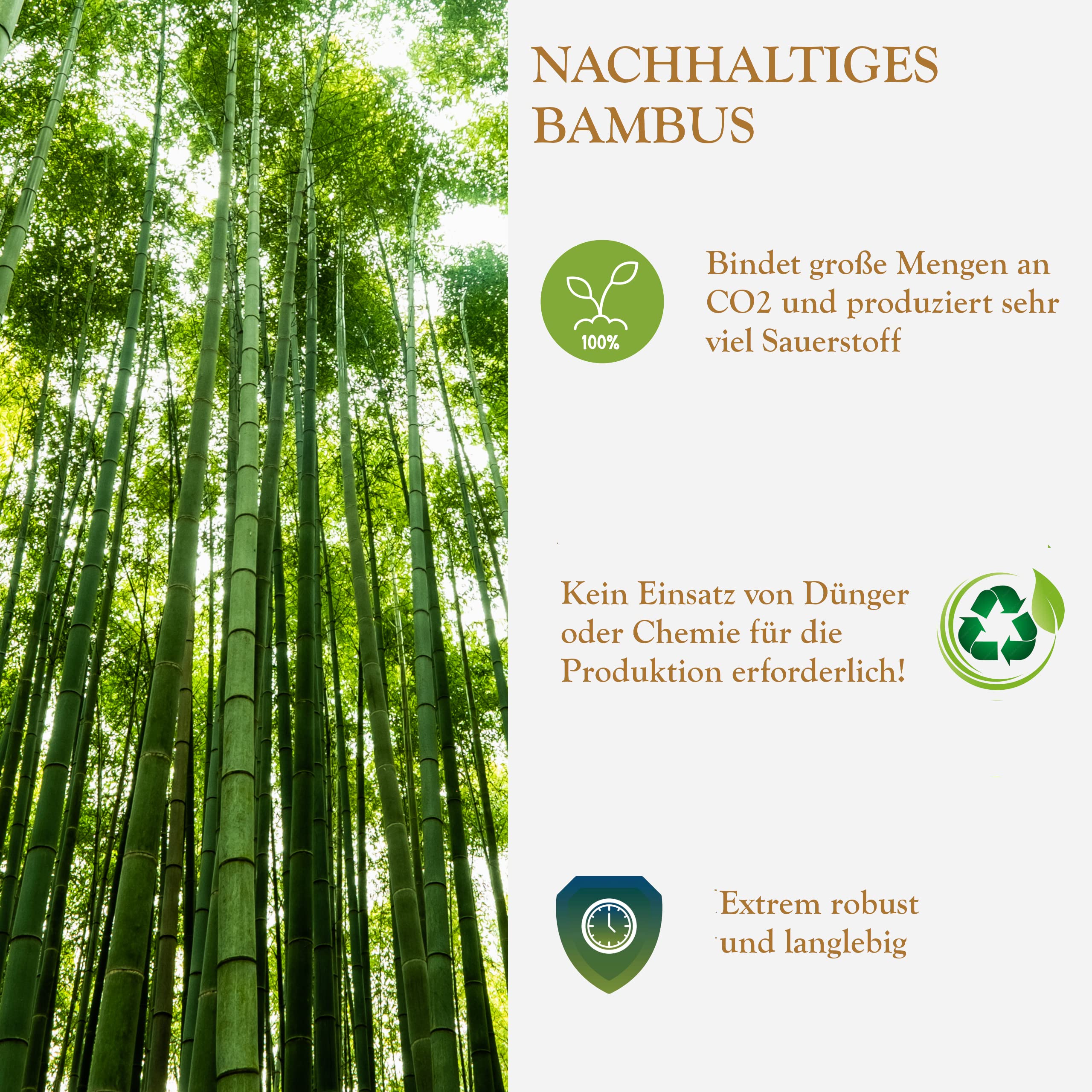 Weinregal Holz, 24 Flaschen, Flaschenregal Stapelbar, Getränkeregal Erweiterbar, Weinregal Stapelbar, Flaschenaufbewahrung, Flaschenregal Holz, Weinflaschenregal