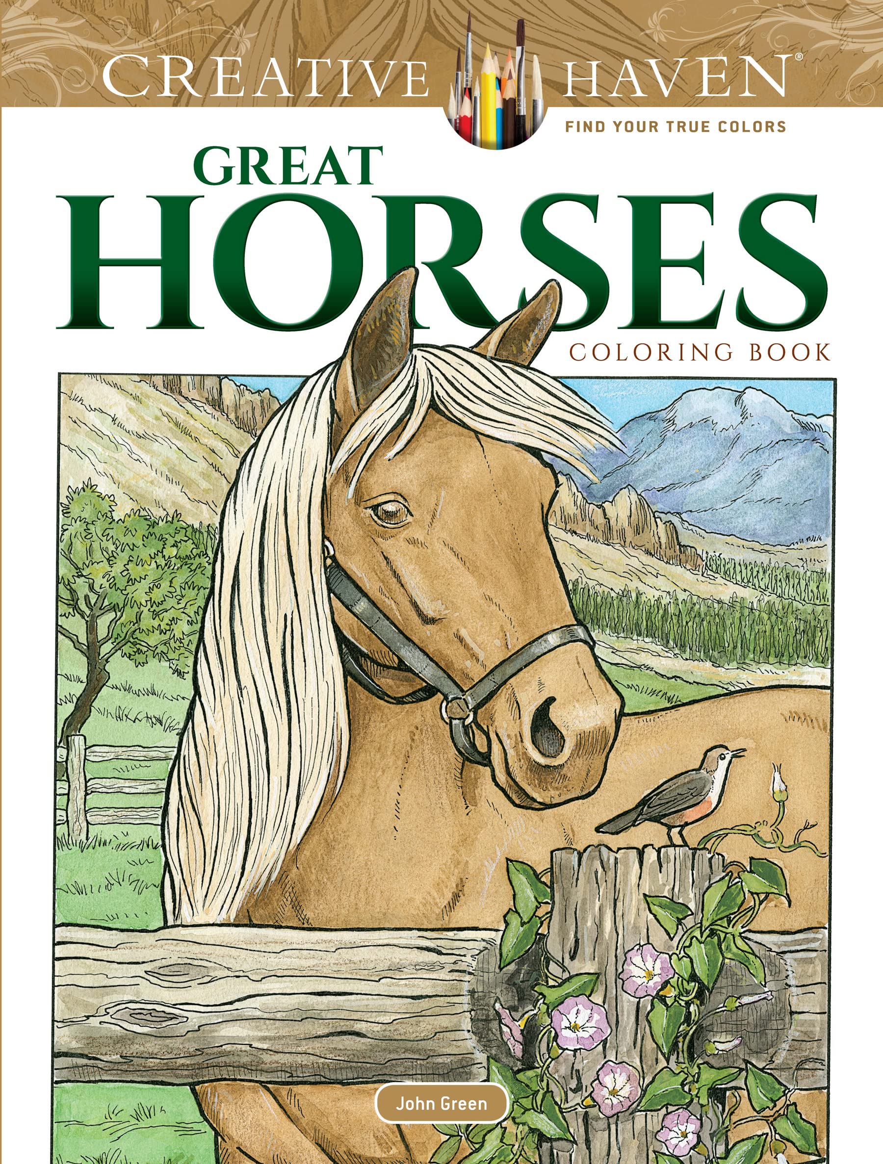 Creative Haven Great Horses Coloring Book Paperback – Coloring Book, 24 Nov. 2017