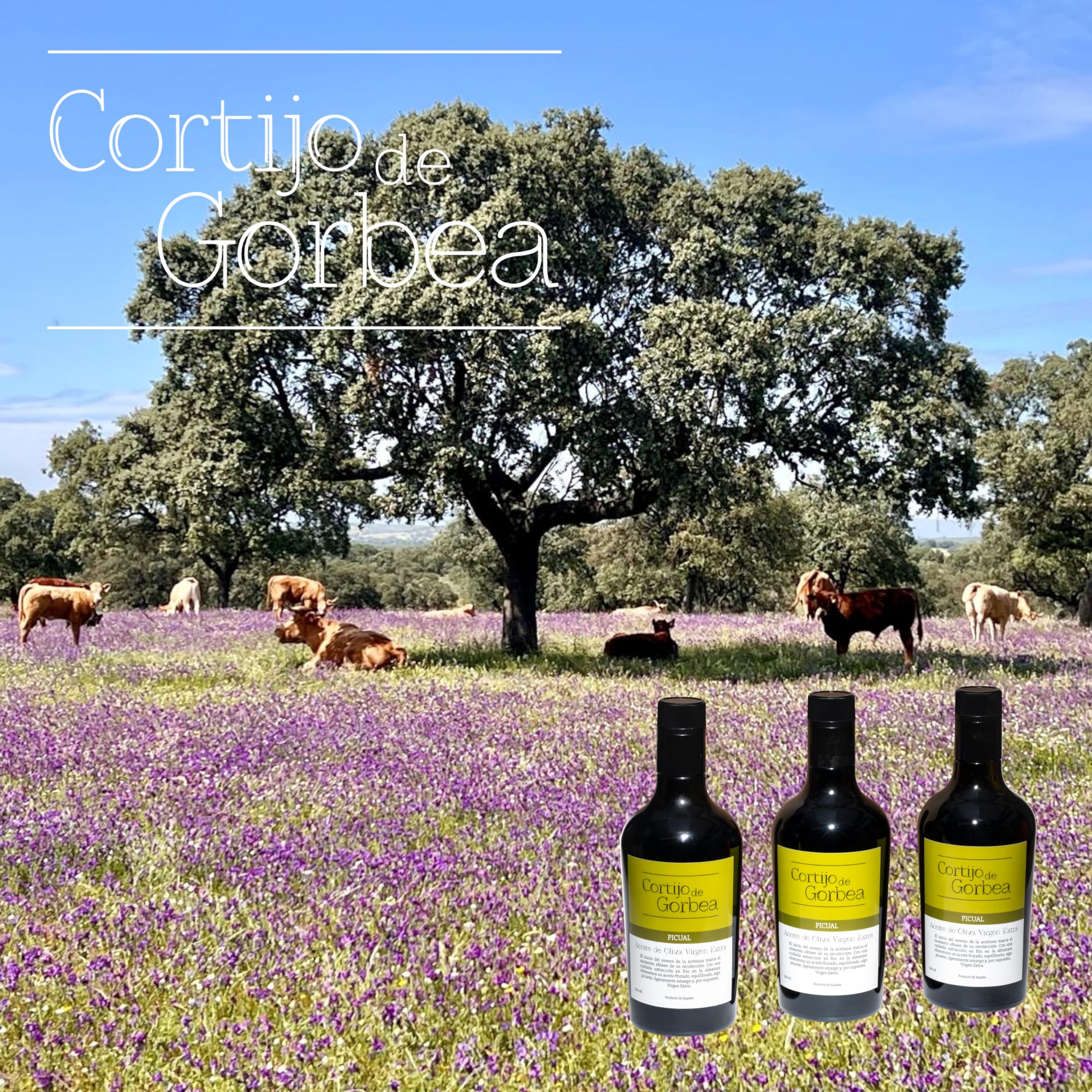 Aceite de Oliva Virgen Extra Picual Cortijo de Gorbea Pack 3 Botellas