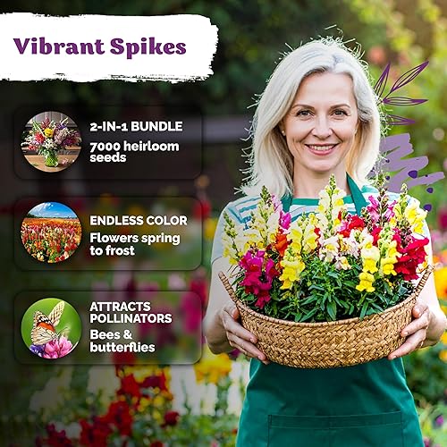 Miniatura 3 de Mezcla de 1500 semillas de Snapdragon Tetra (Antirrhinum Majus) y 5500 Mix Dwarf Fairy Bouquet Snapdragon Seeds (Linaria Maroccana) - Semillas de