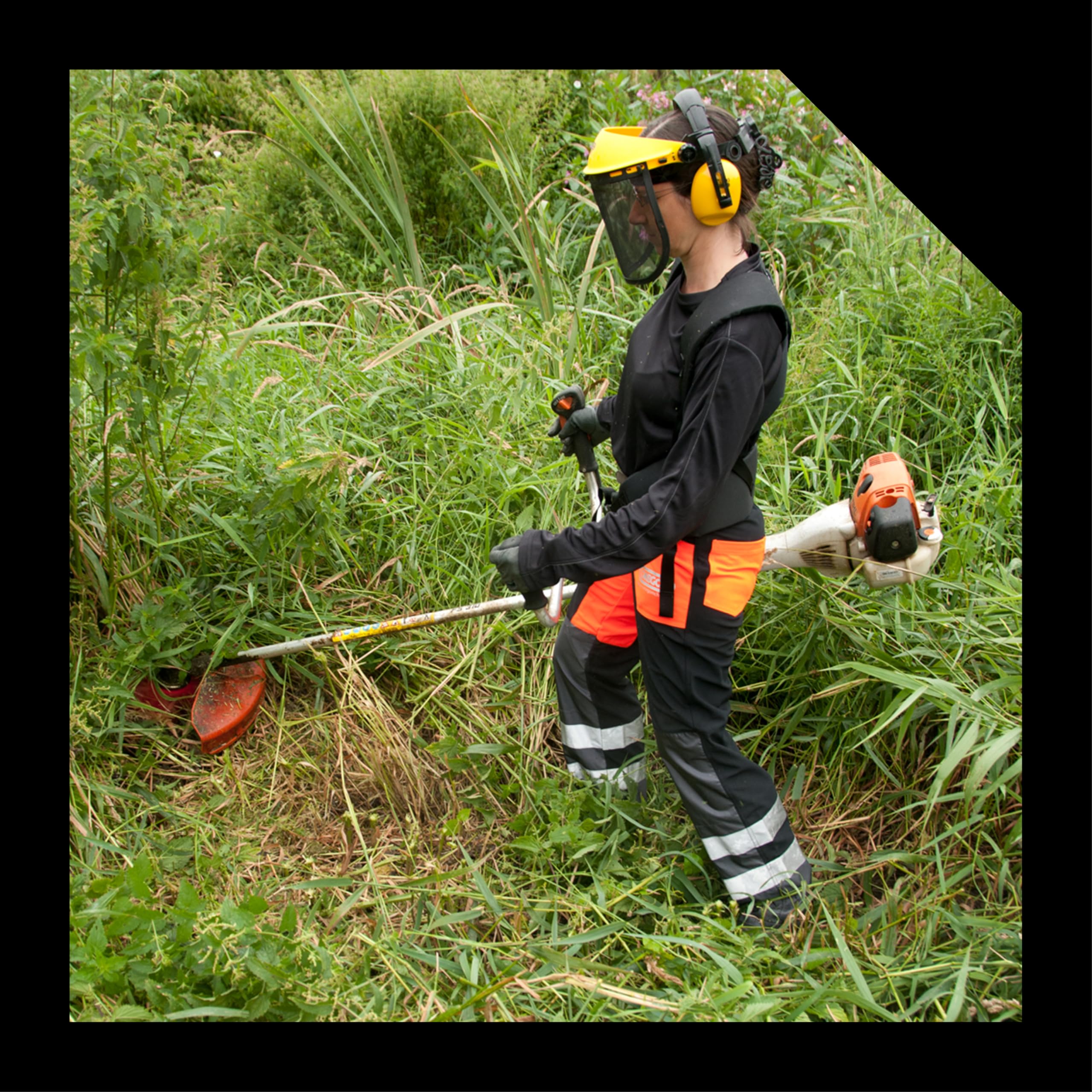 Lame de débroussailleuse Oregon 3,0 x 300 mm, lame universelle à 3 dents pour végétation haute et dense, compatible avec toutes débroussailleuses (Stihl, Echo, Husqvarna, etc.), réf. 295497-0
