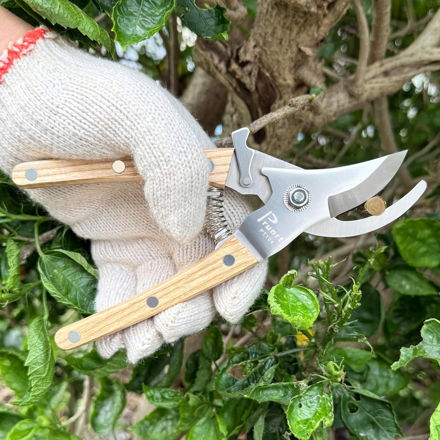 Pruning Shears for Gardening - 7.5" Hand Pruners with High Carbon Steel Blade, 5/8" Cutting Capacity, Ergonomic Wood-Inlaid Steel Handles, Safety Lock & a Spring Included - Garden Clippers