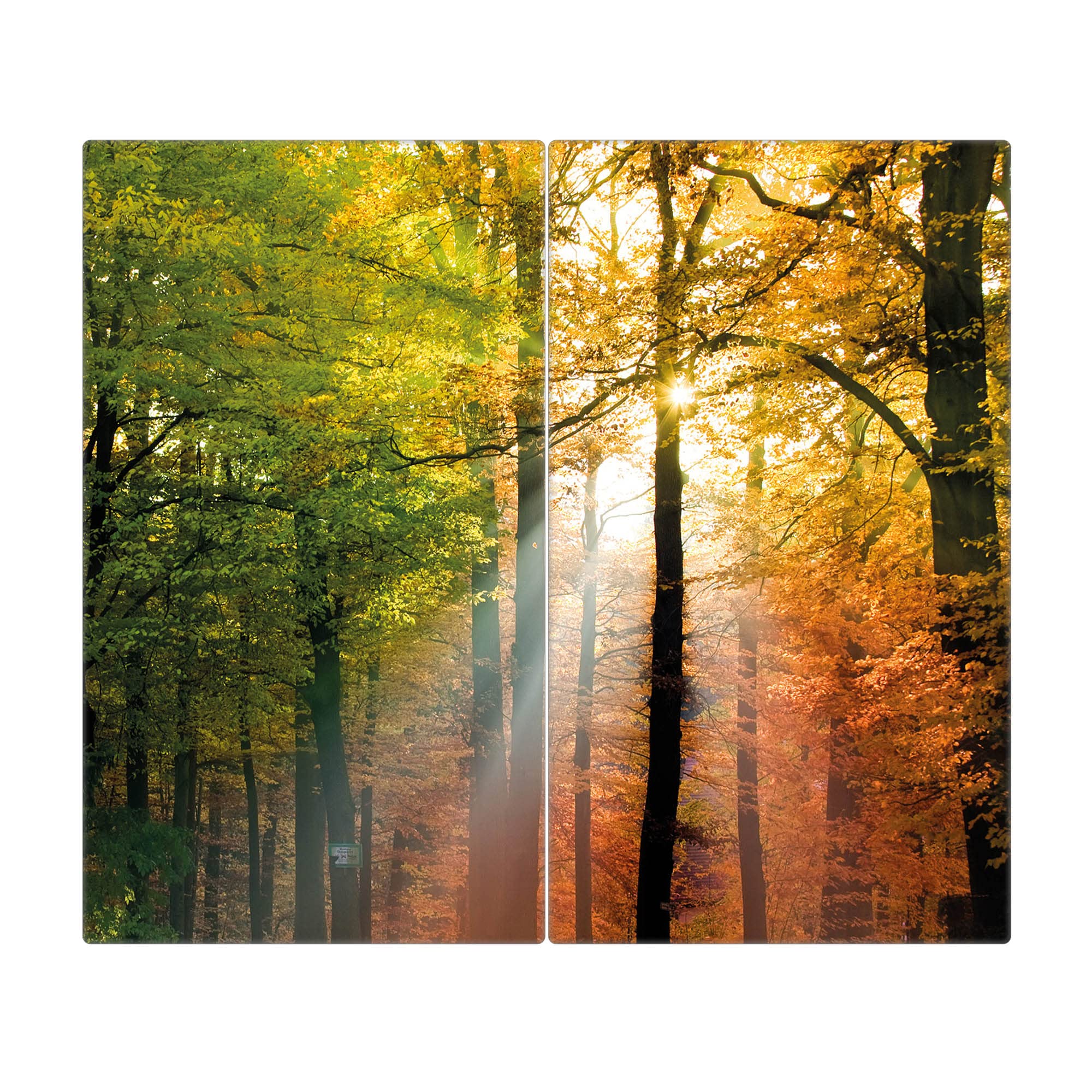 banjado Glas Herdabdeckplatte 2-teilig 60x52 cm, Abdeckung Herdplatte und Schneidebrett Glas aus gehärtetem Glas, zuverlässiger Spritzschutz Küche Natur & Wald mit Motiv Herbstwald