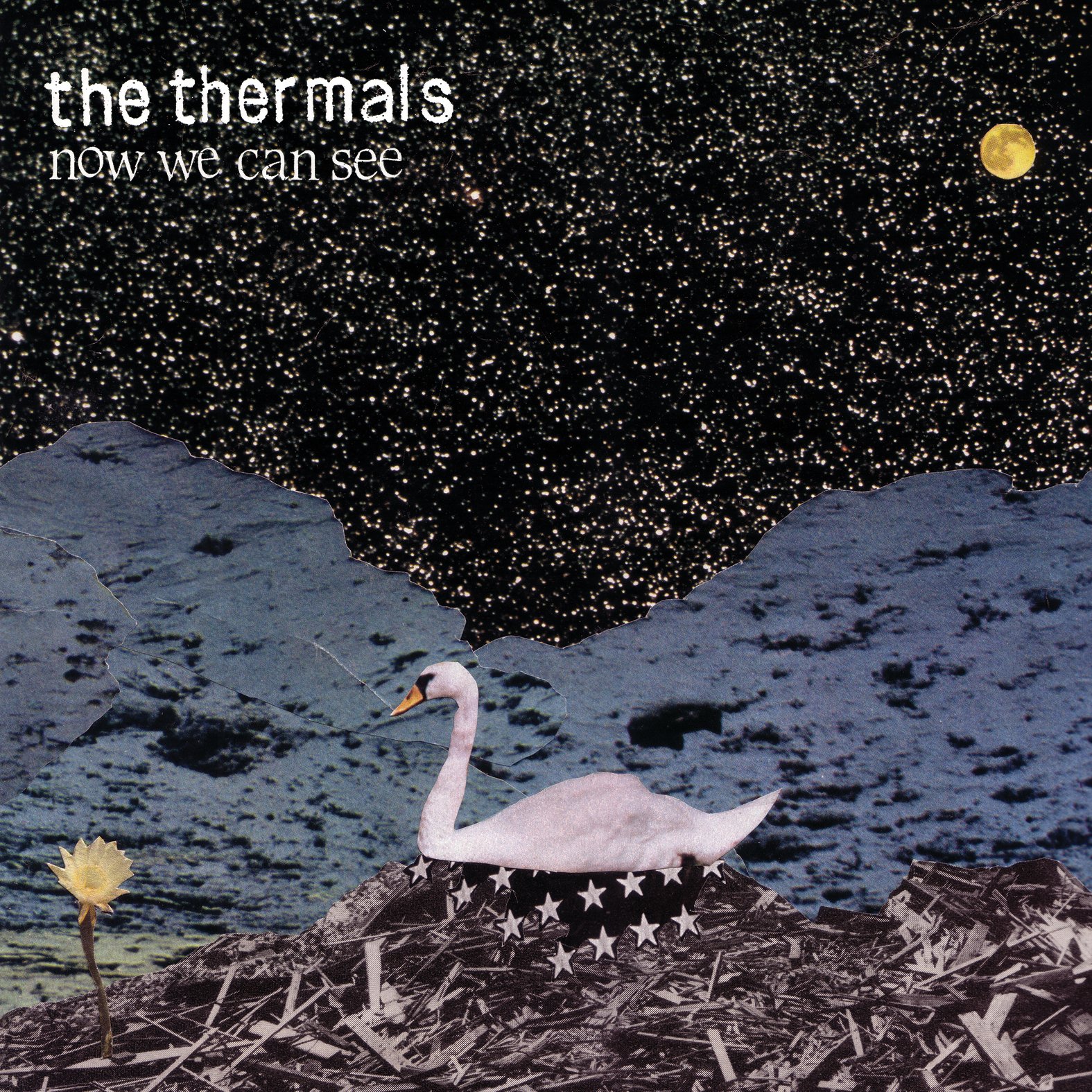 Now We Can See [Audio CD] THERMALS