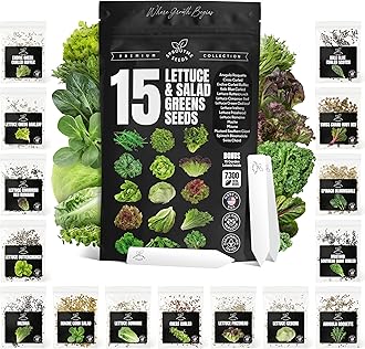 Lettuce & Salad Greens Seeds Variety Pack – Spinach, Kale, Arugula, Romaine & Iceberg Lettuce – 15 Varieties, 7300+ Non-GMO Heirloom Seeds, Indoor & Outdoor Growing
