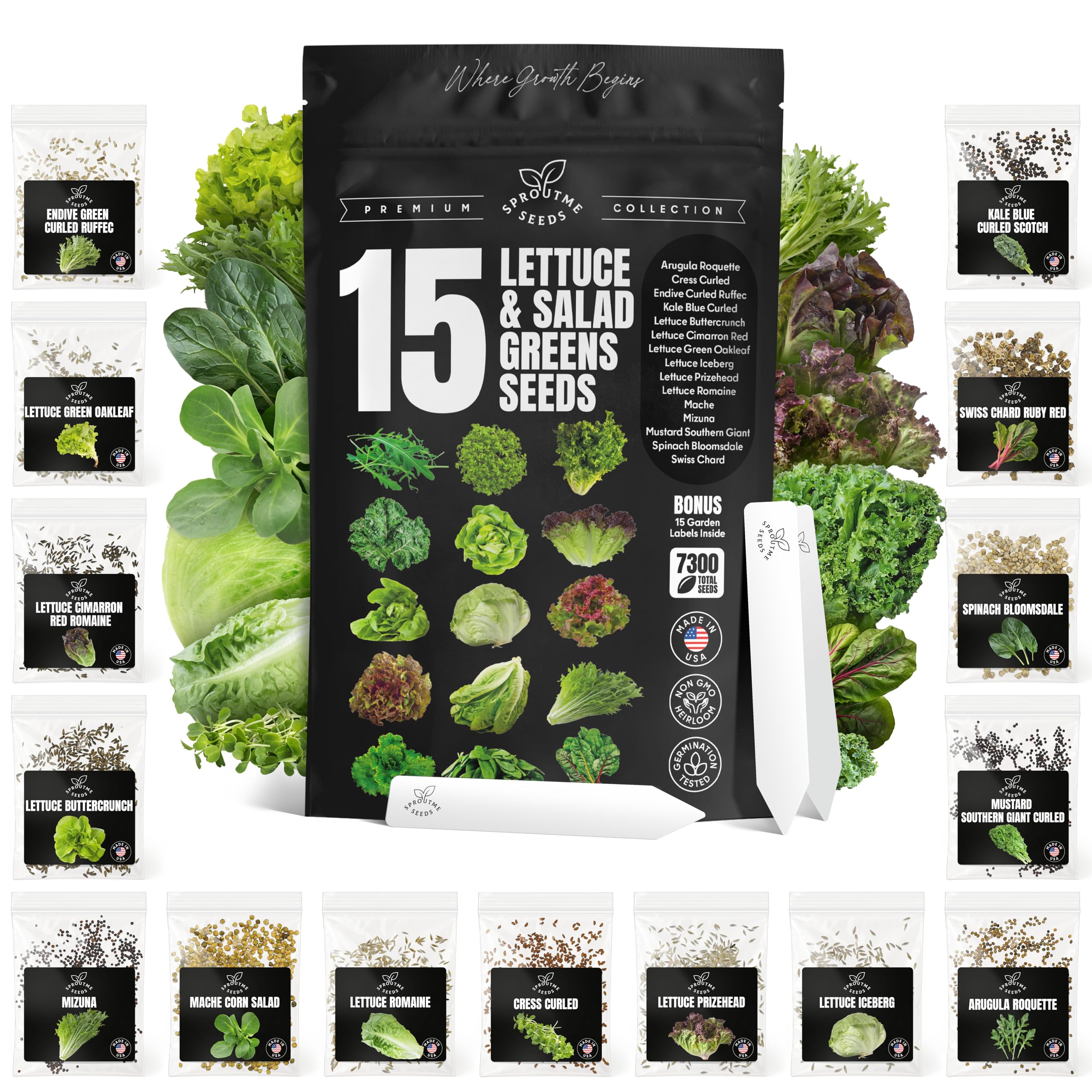 Lettuce & Salad Greens Seeds Variety Pack – Spinach, Kale, Arugula, Romaine & Iceberg Lettuce – 15 Varieties, 7300+ Non-GMO Heirloom Seeds, Indoor & Outdoor Growing