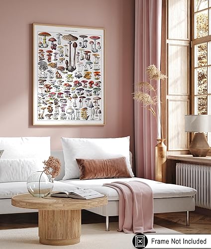 Miniatura 39 de Poster Master Póster vintage de orquídea, estampado de flores retro, arte de pared de plantas exóticas, arte botánico, regalo para hombres y