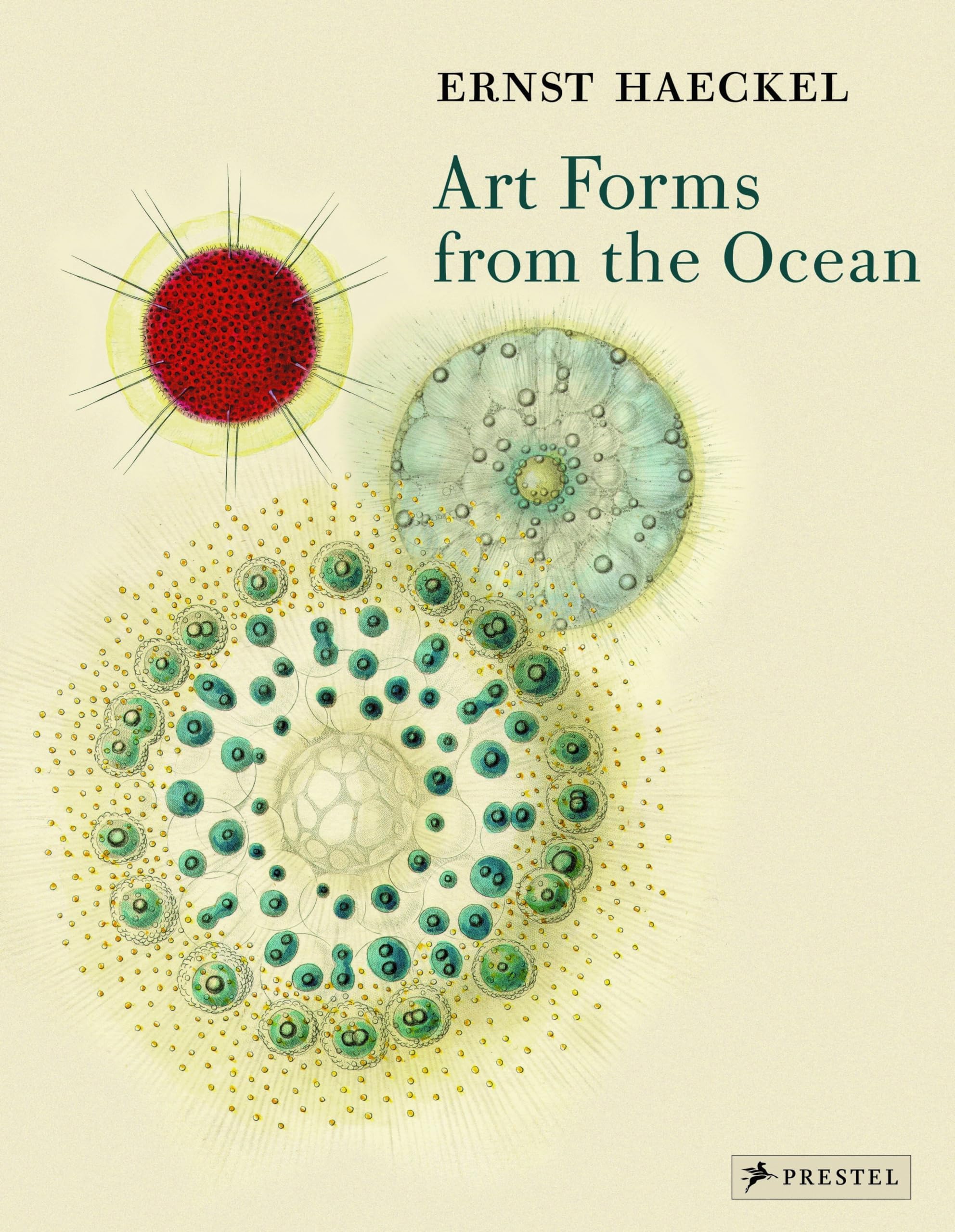 Art Forms from the Ocean: The Radiolarian Prints of Ernst Haeckel Paperback โ May 28, 2005
