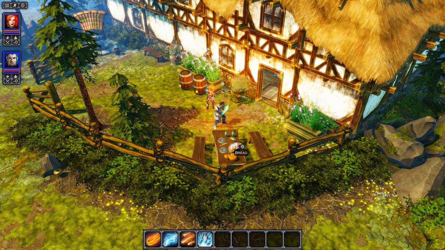 Divinity: Original Sin : Amazon.de: Games