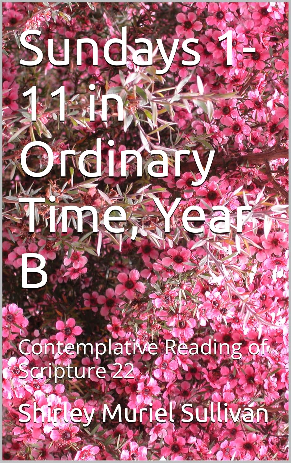Sundays 1-11 in Ordinary Time, Year B: Contemplative Reading of Scripture 22