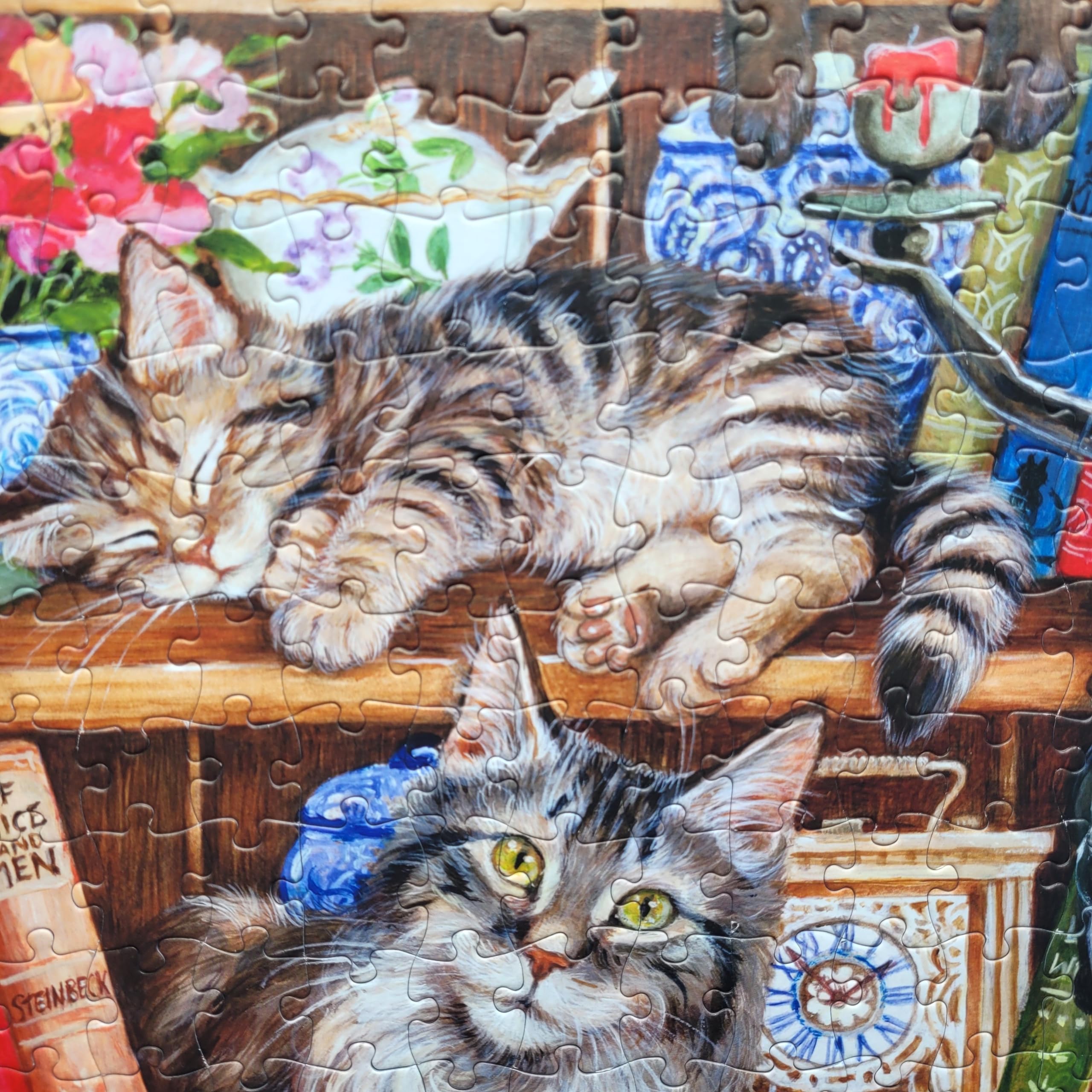 Rompecabezas De 500 Piezas Con Diseño De Gatos Y Libros, Rompecabezas De Animales | Rompecabezas De Piezas Extra Grandes Para Adultos | Tablero 100% Reciclado Premium | Gran Regalo Para Adultos