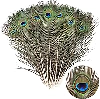 Vista 11 de THARAHT 120 plumas de pavo real natural a granel de 10-12 pulgadas 9.8-11.8 in para manualidades, florero, boda, hogar, fiesta, Navidad, decoración
