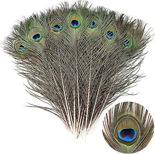Miniatura 11 de THARAHT 120 plumas de pavo real natural a granel de 10-12 pulgadas 9.8-11.8 in para manualidades, florero, boda, hogar, fiesta, Navidad, decoración