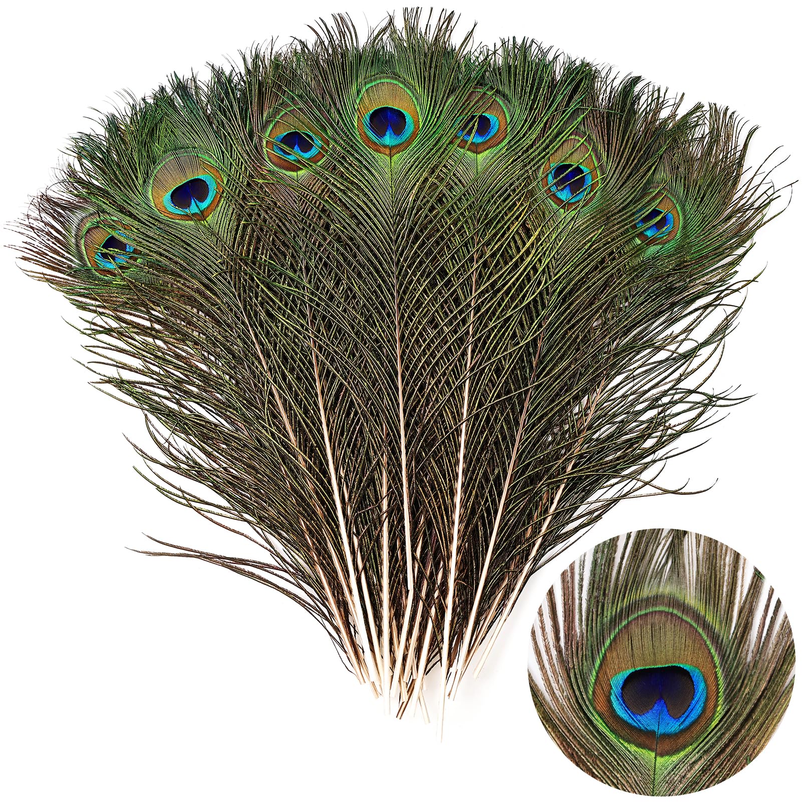 THARAHT 24pcs Peacock Feathers Long Natural in Bulk 14-16 inch 35-40 cm for Craft Vase Wedding Home Party Christmas Day Decoration Peacock Feathers