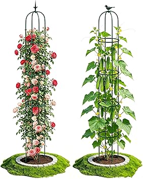 2PCS Garden Trellis for Climbing Plants, 6.2FT Rustproof Metal Pipe with Heavy Duty Plastic Coated, Garden Outdoor Indoor Potted Plant Support, Obelisk Garden Trellis for Climbing Vine Green