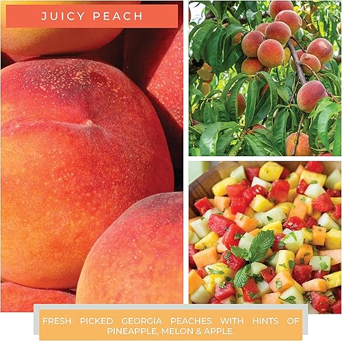 Miniatura 3 de A Cheerful Giver - Vela en tarro de vidrio perfumada Juicy Peach (6 onzas) con tapa y fragancia fiel a la vida, fabricada en Estados Unidos