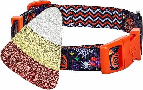 Blueberry Pet Collar de perro ajustable de maíz dulce de Halloween con accesorio de purpurina desmontable, mediano, cuello de 14.5 a 20 pulgadas