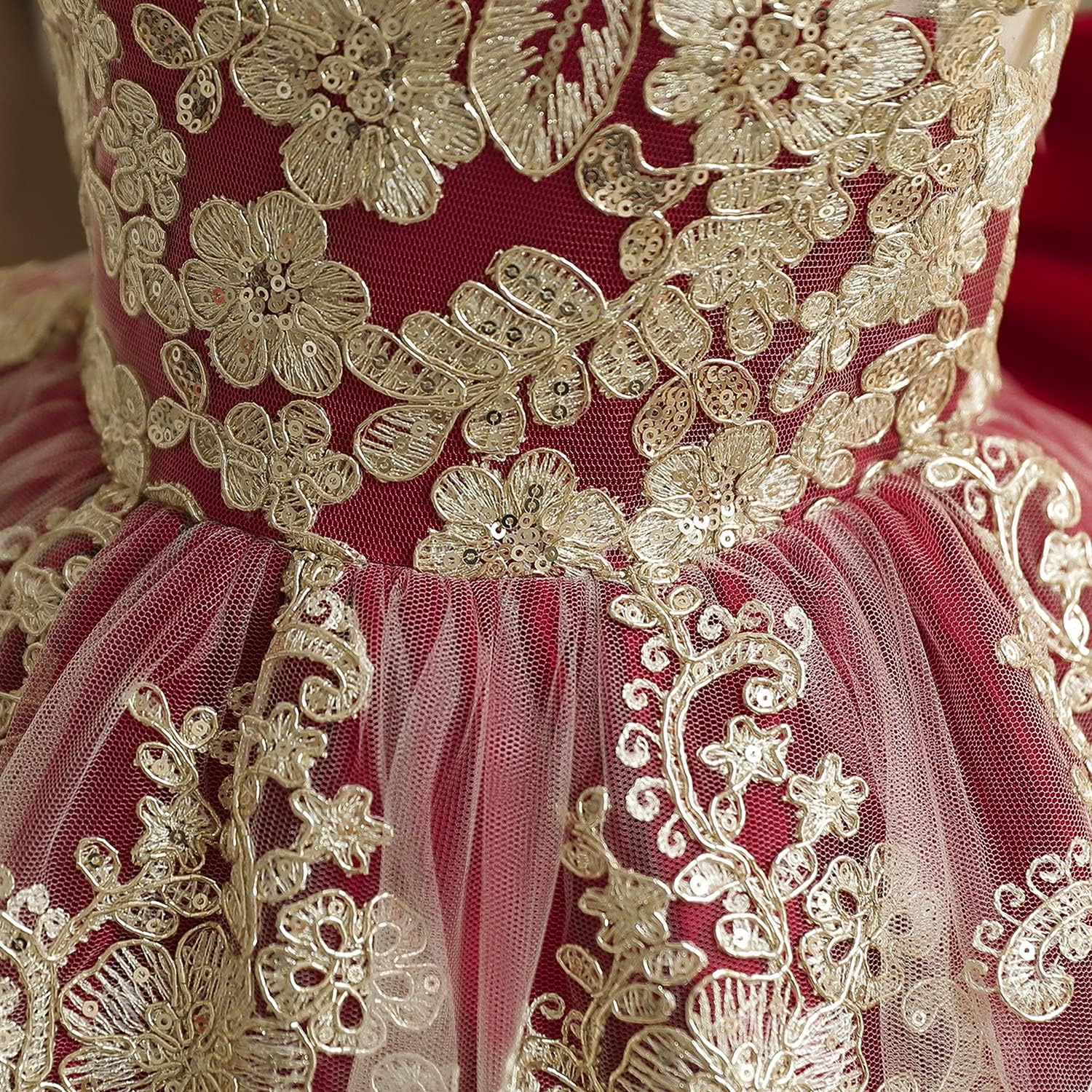 HNXDYY Baby Girl Tutu Dress Princess Lace Embroidery Wedding Party Gown - Image 4