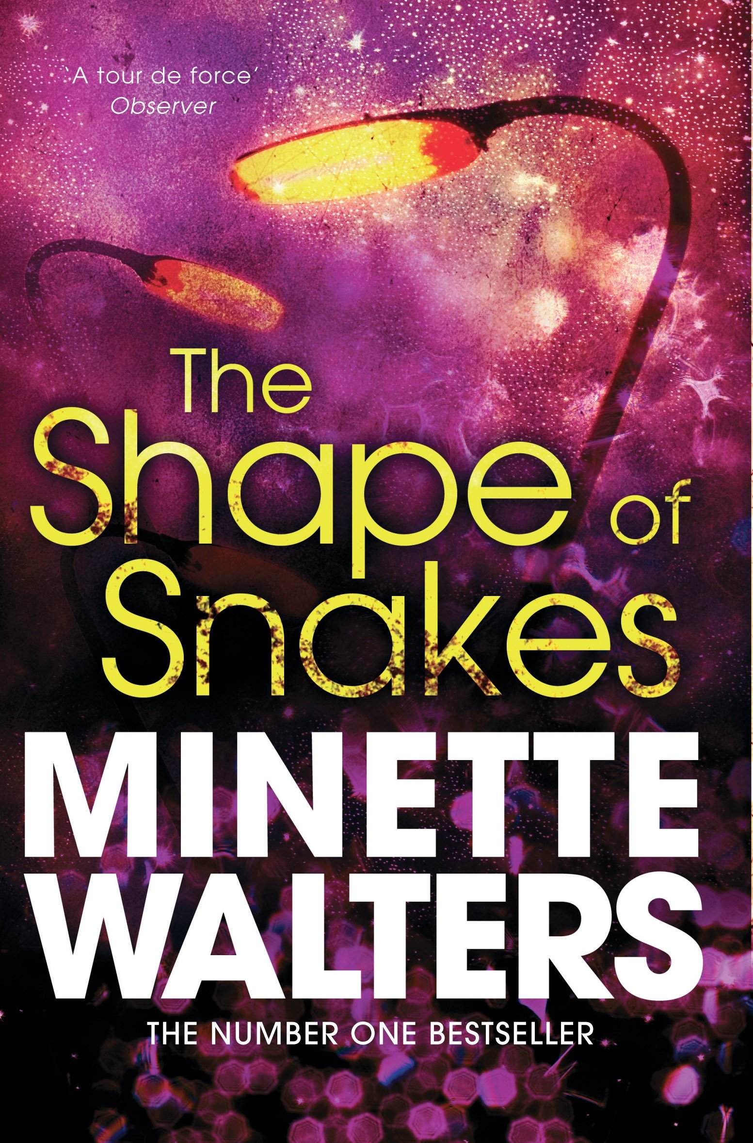 The Shape of Snakes By Minette Walters. 9781447207986