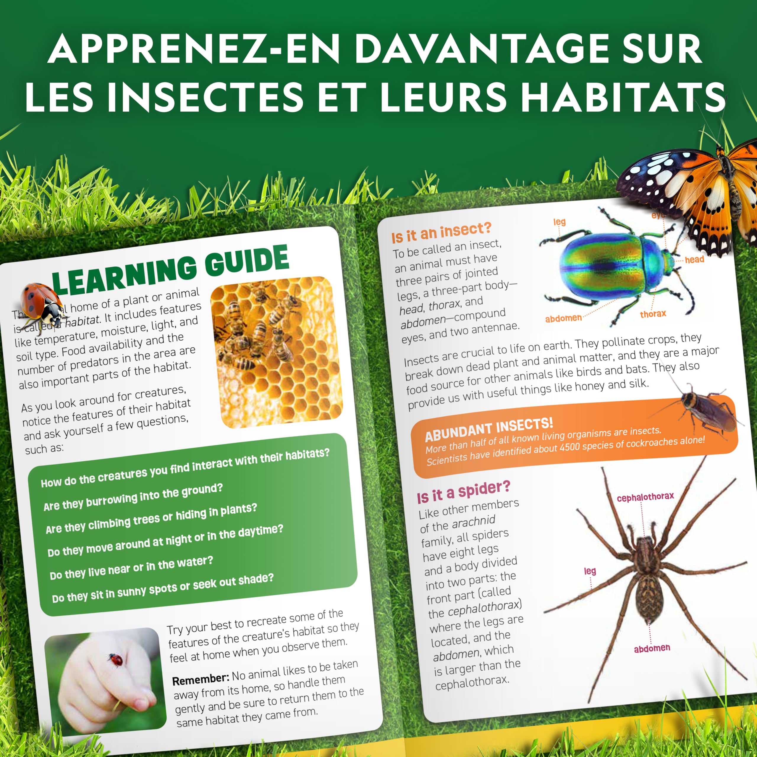 National Geographic Kit de Capture d’Insectes pour Enfants – Set d’Exploration avec Filet, Boîte d’Observation Grossissante, Pince & Plus