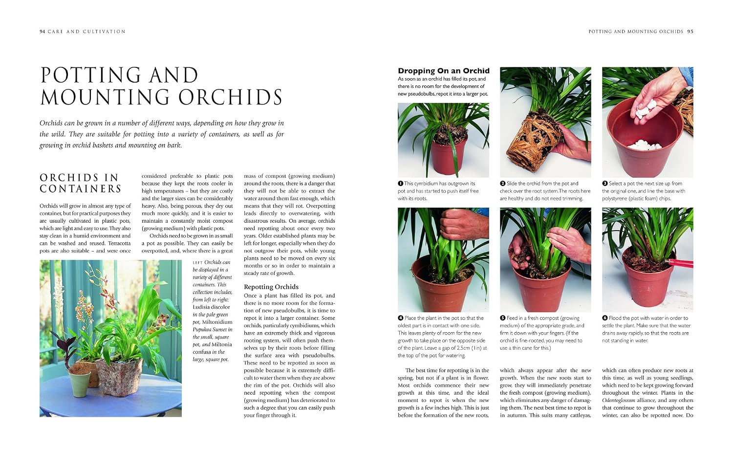 Orchids: A Practical Guide for Gardeners: With Advice On Growing, A Directory Of 200 Orchids, and 600 Color Photographs