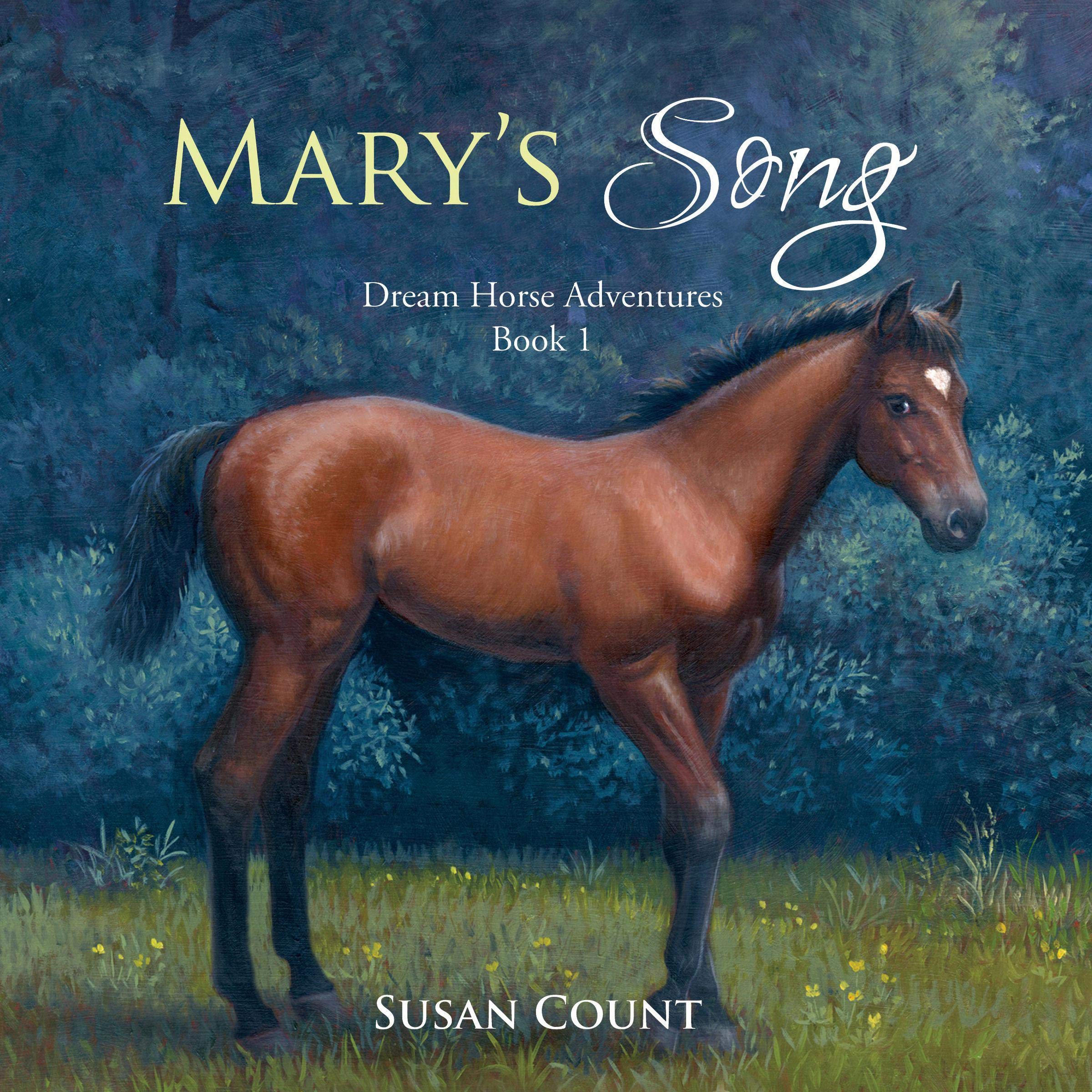 Cover art for Mary's Song