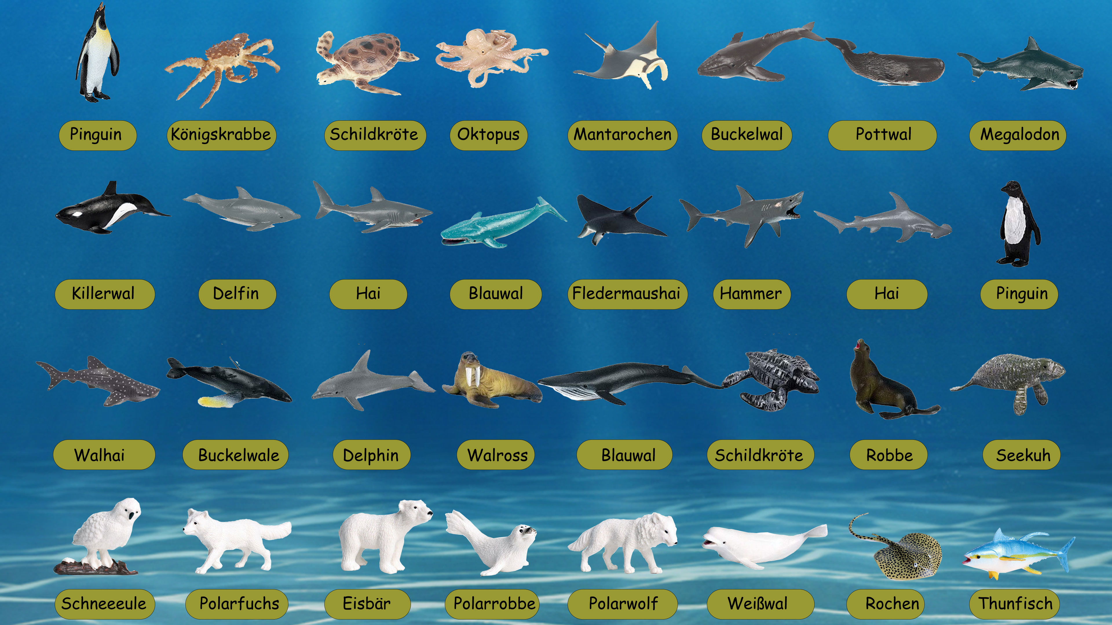Modello di insetto Simulazione Formica rossa Animali selvatici Action Figures Giocattolo educativo scientifico in miniatura Regalo per bambini  26