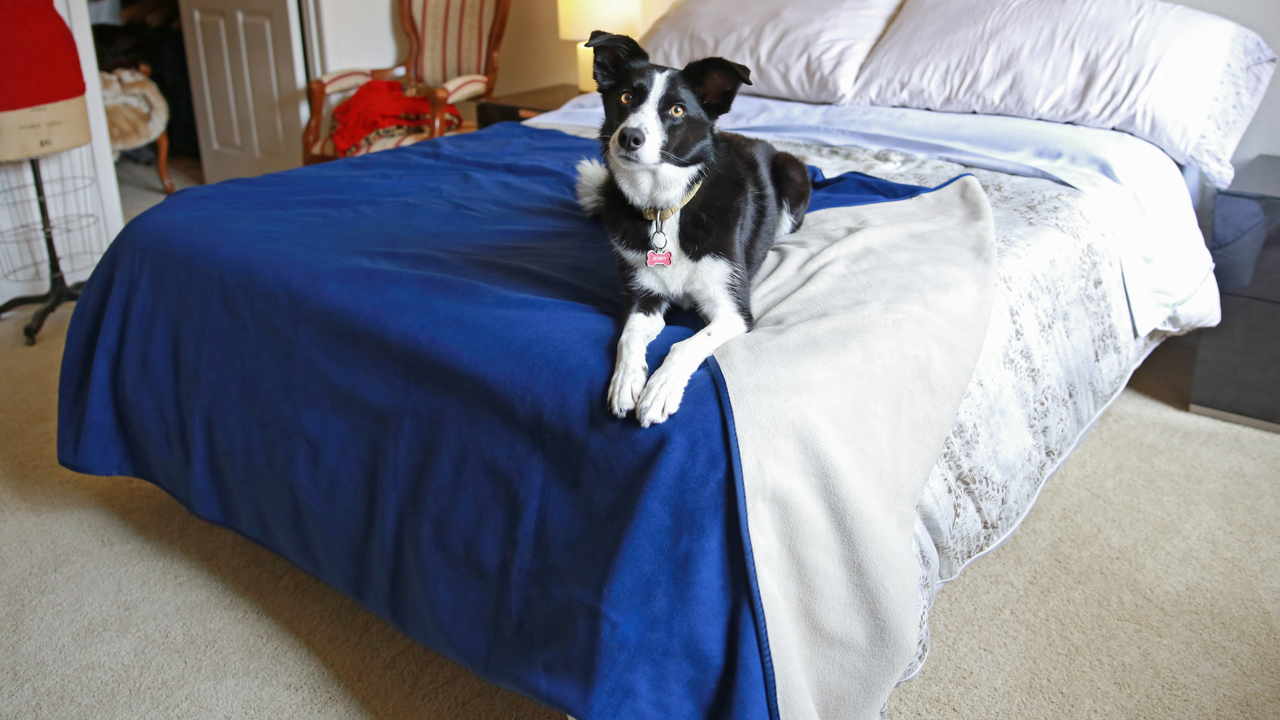 Catalonia Waterproof Blanket for Bed, Reversible Baby Pet Doggy Pee Proof Fleece Blankets, Large Couch Sofa Cover… - Image 7