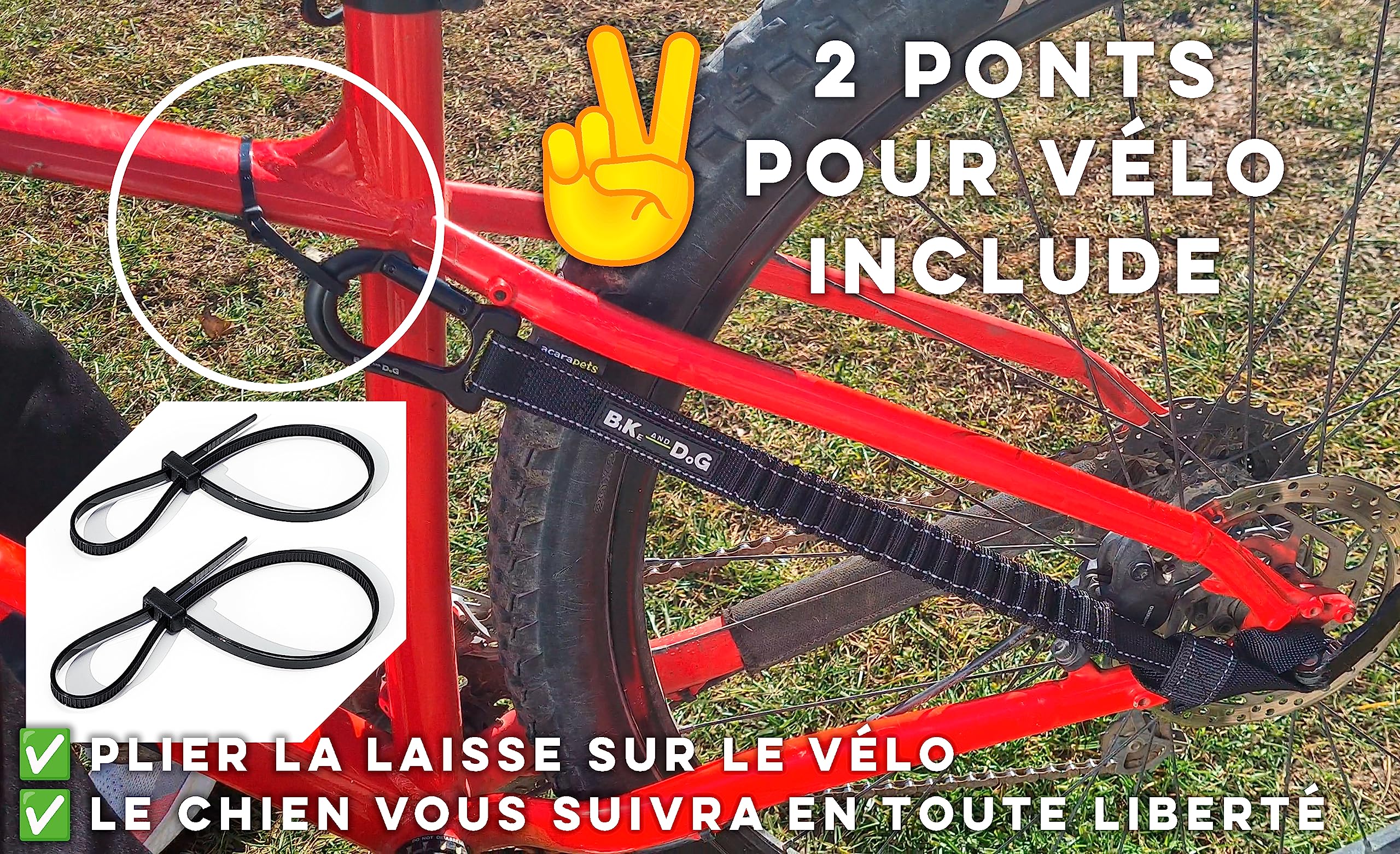 Laisse pour Chien à vélo, Installation sans Outils, Système breveté, Noir