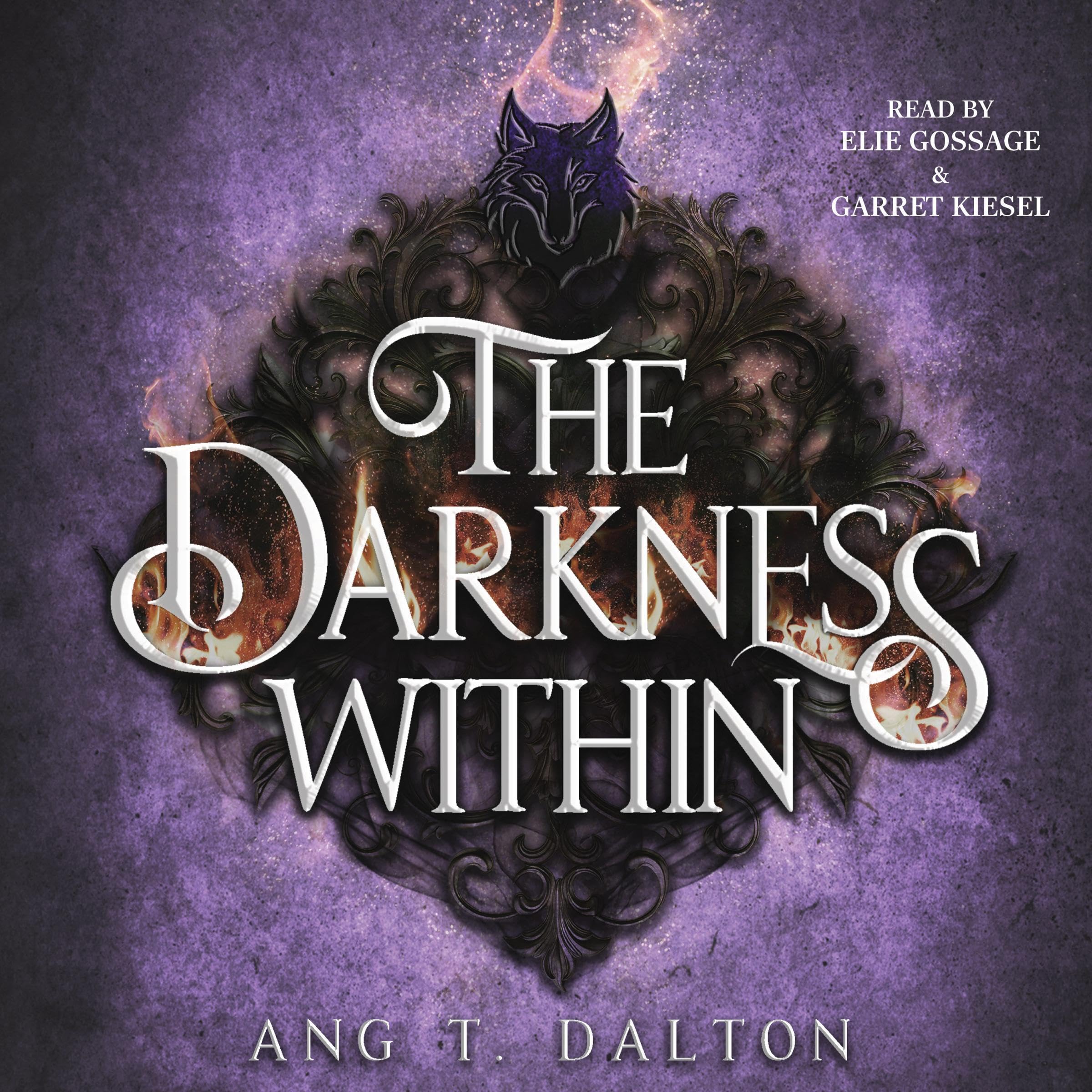 Cover art for The Darkness Within