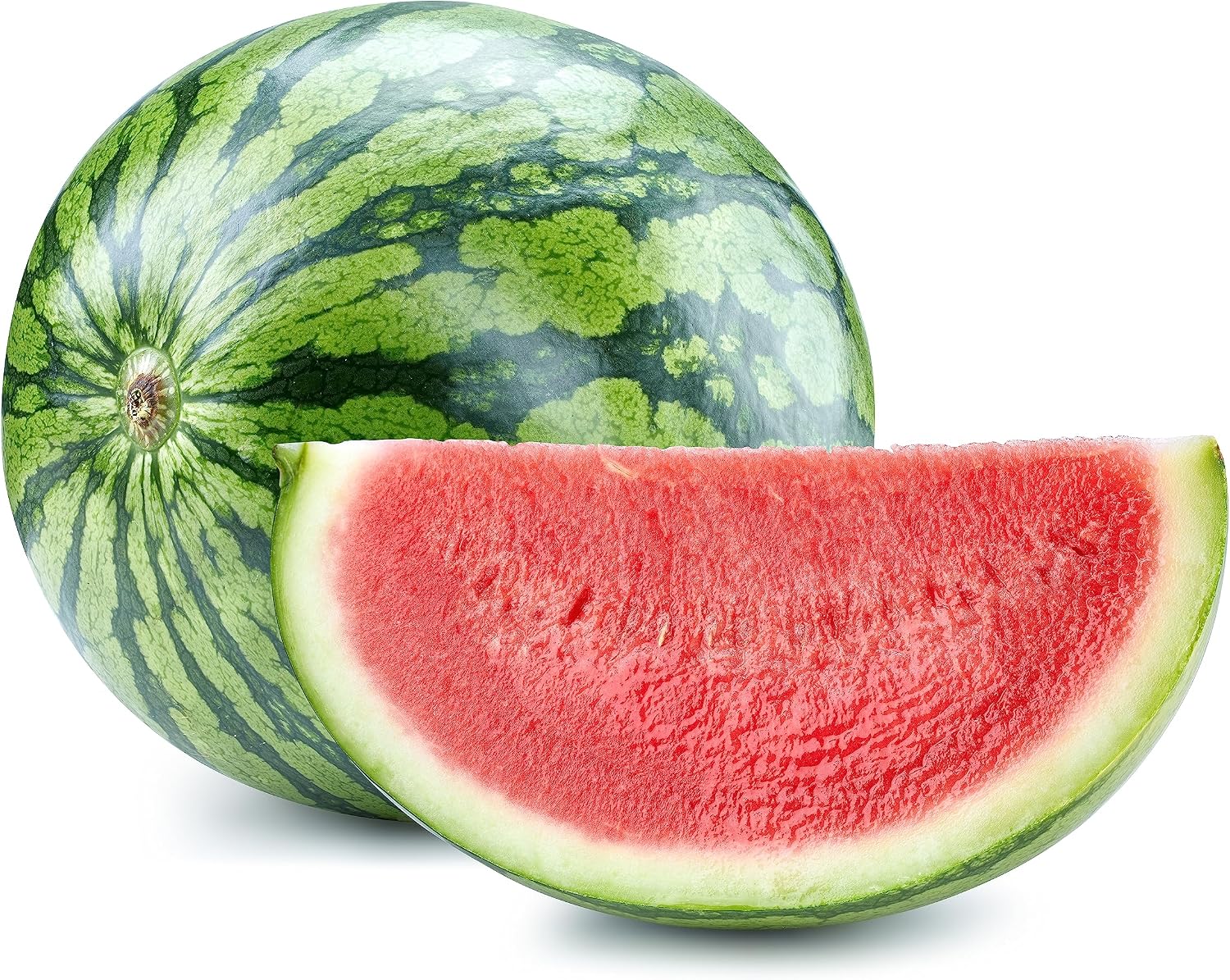50 Sugar Baby Watermelon Seeds for Planting - Heirloom Non-GMO USA Grown Premium Fruit Seeds for Planting a Home Garden - Small Watermelon Citrullus Lanatus by RDR Seeds