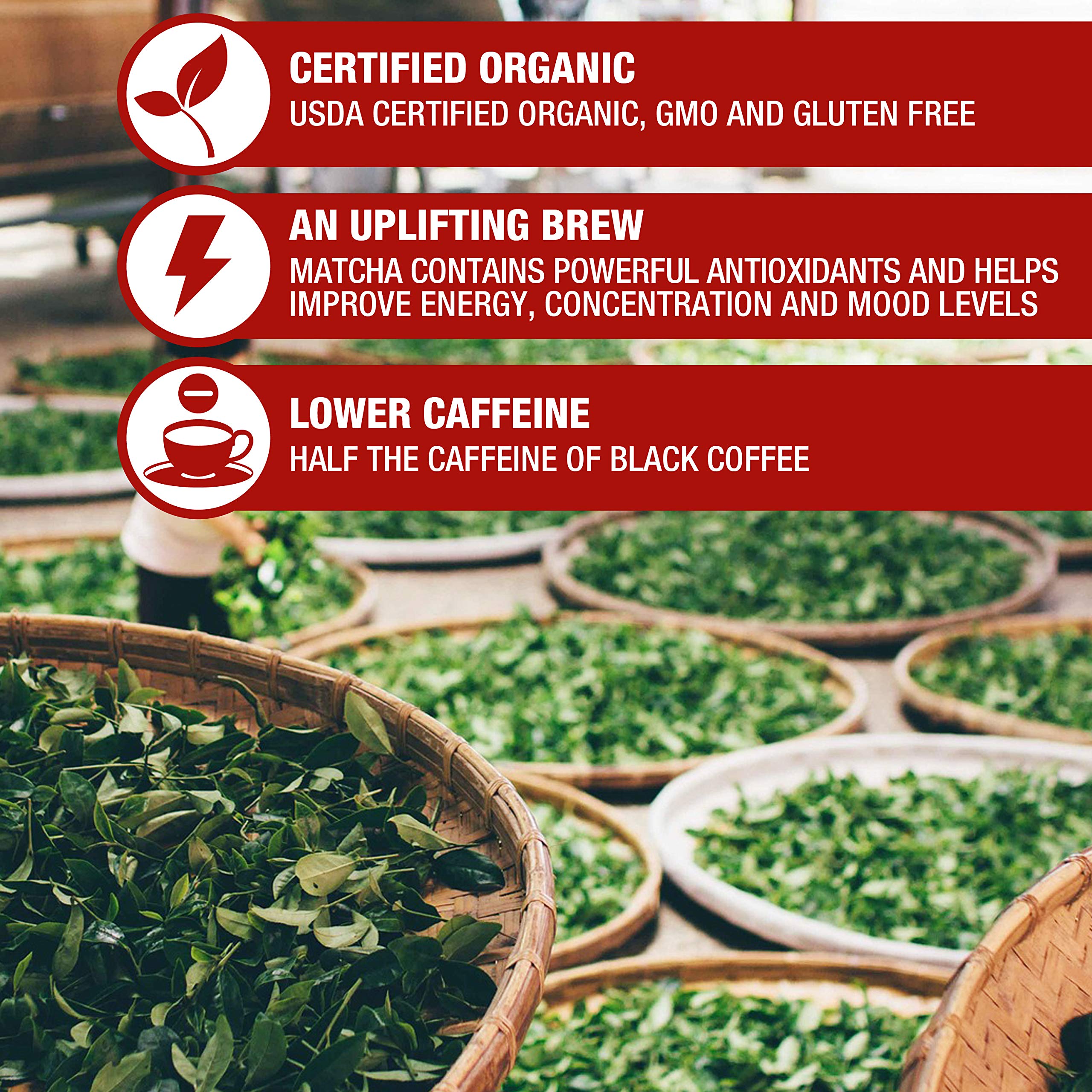 Tipson Organic Matcha Tea Infusions - Matcha Masala Chai - Non GMO and Gluten Free - 25 Premium — view 3